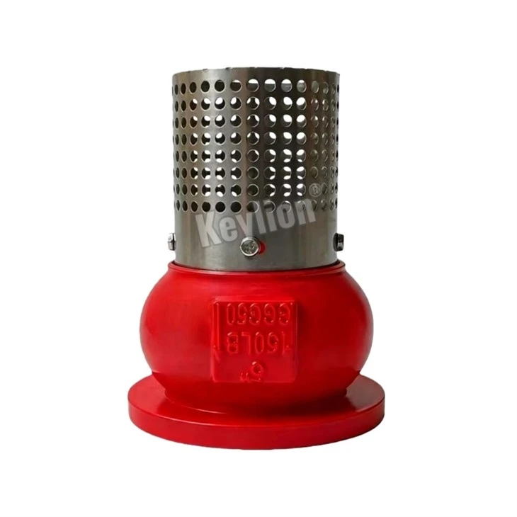 50MM Foot Valve 